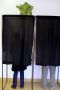 Elections